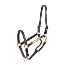 Load image into Gallery viewer, 3/4&quot; Premium Leather Show Halter w/plate
