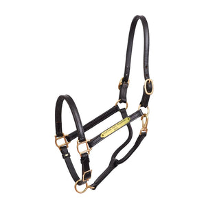 3/4" Premium Leather Show Halter w/plate