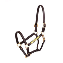 Load image into Gallery viewer, 3/4&quot; Premium Leather Show Halter w/plate