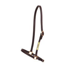 Load image into Gallery viewer, 3/4&quot; Havana Grooming Halter w/plate