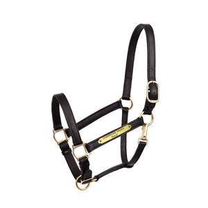 1" Leather Turnout Halter w/plate