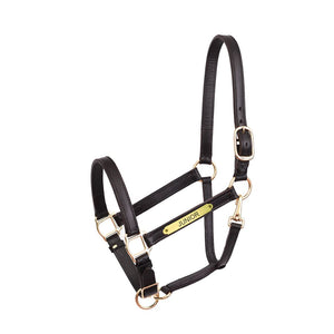 1" Leather Turnout Halter w/plate