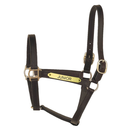 Track Style Leather Halter w/plate