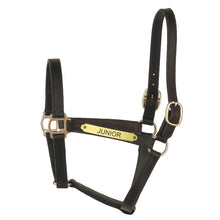 Load image into Gallery viewer, Track Style Leather Halter w/plate