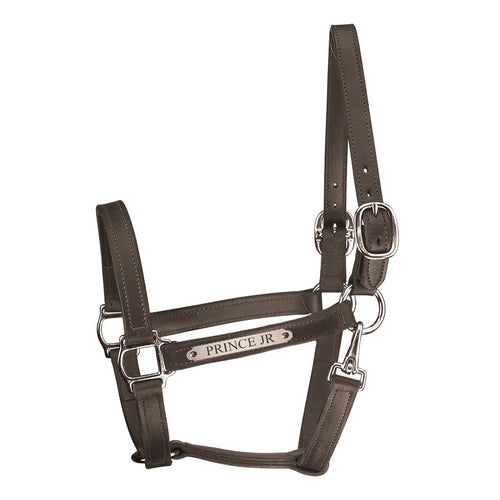 Track Style Turnout Leather Halter w/snap & plate