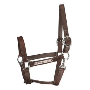 Track Style Turnout Leather Halter w/snap & plate