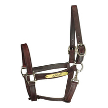 Load image into Gallery viewer, Track Style Turnout Leather Halter w/snap &amp; plate