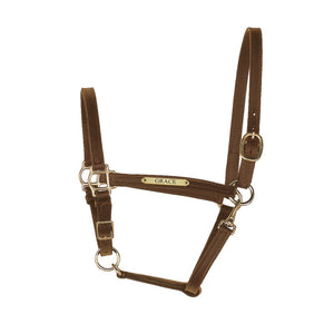 3/4" Leather Turnout Halter w/plate