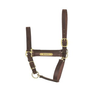 Economy Leather Halter w/plate