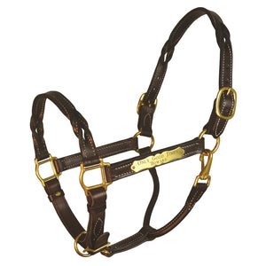 Havana Twisted Leather Halter w/plate