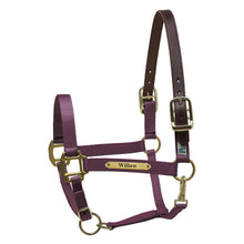 Load image into Gallery viewer, Premium Nylon Safety Halter w/plate