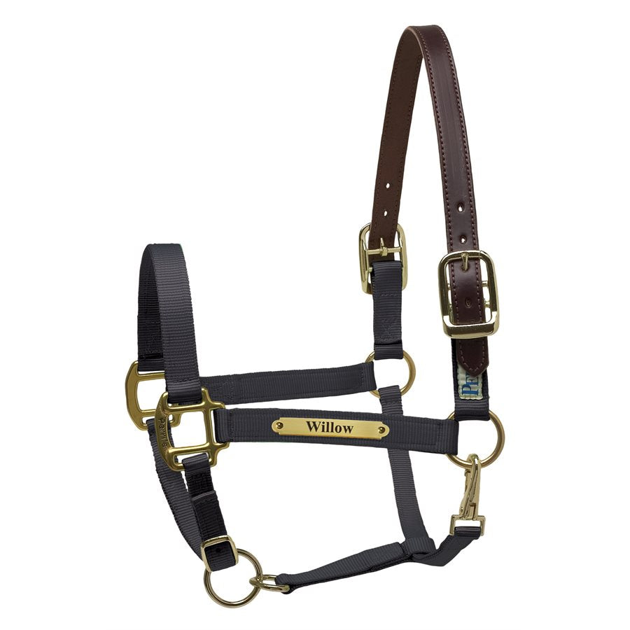 Premium Nylon Safety Halter w/plate