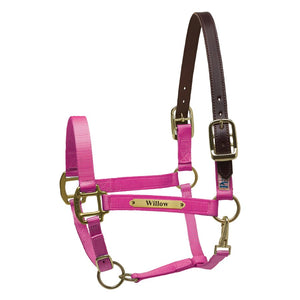 Premium Nylon Safety Halter w/plate