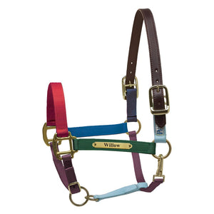 Premium Nylon Safety Halter w/plate