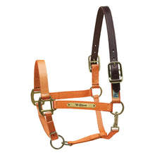 Load image into Gallery viewer, Premium Nylon Safety Halter w/plate