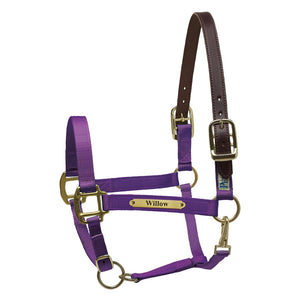 Premium Nylon Safety Halter w/plate