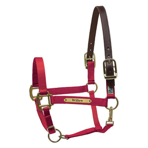 Premium Nylon Safety Halter w/plate