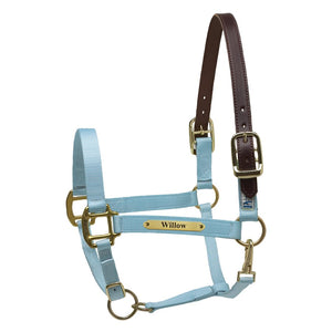 Premium Nylon Safety Halter w/plate