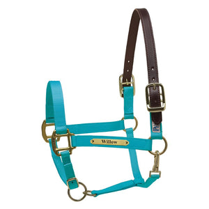 Premium Nylon Safety Halter w/plate