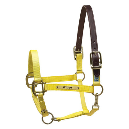 Premium Nylon Safety Halter w/plate