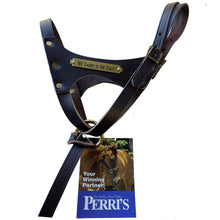 Load image into Gallery viewer, Double Crown Foal Halter with plate