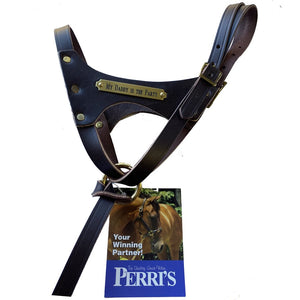 Double Crown Foal Halter with plate