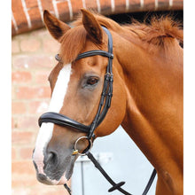 Load image into Gallery viewer, Lambro Anatomic Bridle with Crank Noseband (No reins)
