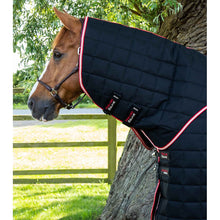 Load image into Gallery viewer, Lucanta 450g Stable Rug with Neck Cover