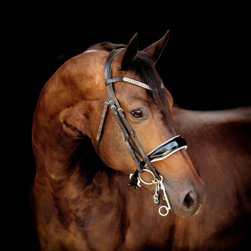 Adeline Italian Leather Bridle (Double)