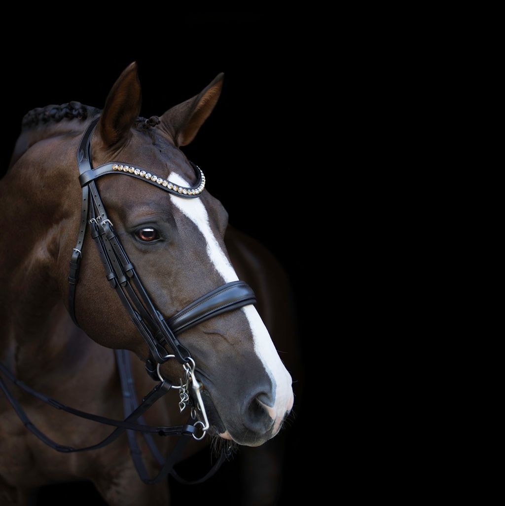 Athens Luxury Leather Bridle (Double) (No reins)