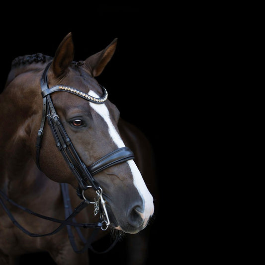 Athens Luxury Leather Bridle (Double) (No reins)