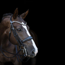 Load image into Gallery viewer, Athens Luxury Leather Bridle (Double)
