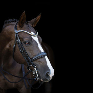 Athens Luxury Leather Bridle (Double)