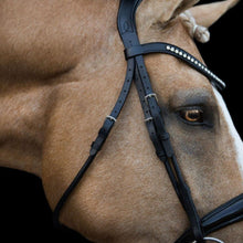 Load image into Gallery viewer, Aurelie Italian Leather Bridle (Hanoverian)
