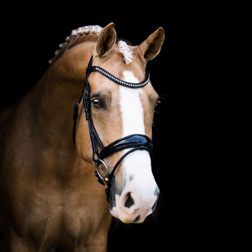 Aurelie Italian Leather Bridle (Hanoverian)