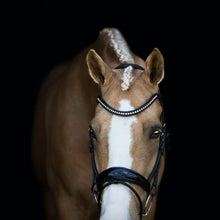 Load image into Gallery viewer, Aurelie Italian Leather Bridle (Hanoverian)