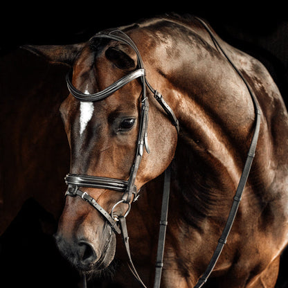 Milan Italian Leather Bridle (Convertible) (No reins)