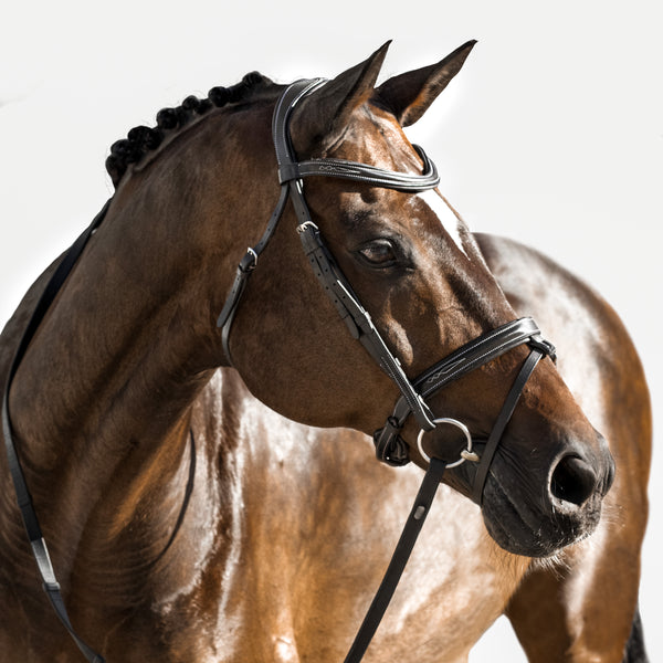 Milan Italian Leather Bridle (Convertible) (No reins)