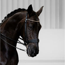 Load image into Gallery viewer, Magnifique Rolled Leather Bridle (Double)