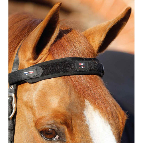 Magni-Teque Magnetic Browband