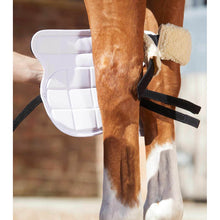 Load image into Gallery viewer, Magni-Teque Magnetic Horse Knee Boots