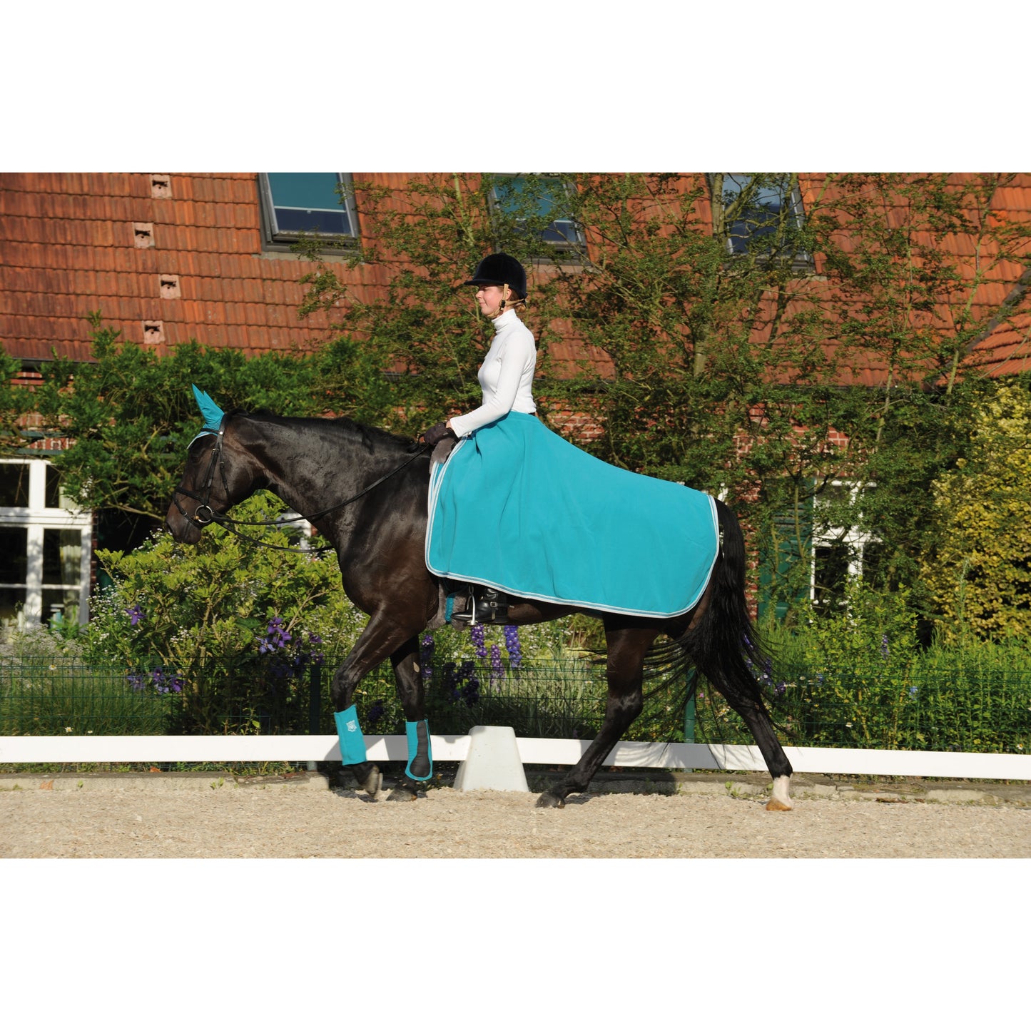 Design your own E.A Mattes Exercise Rug with rider cut out