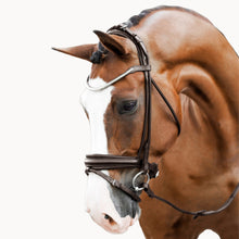 Load image into Gallery viewer, Mercie Rolled Classic Bridle