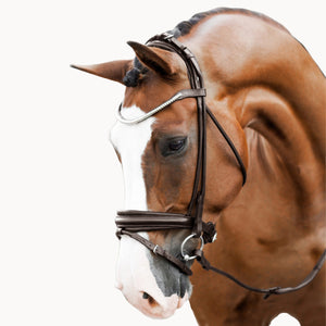 Mercie Rolled Classic Bridle