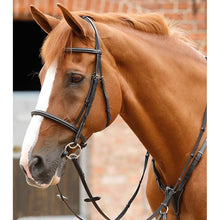 Load image into Gallery viewer, Mossimo Cavesson Bridle (No reins)