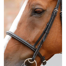 Load image into Gallery viewer, Mossimo Cavesson Bridle (No reins)