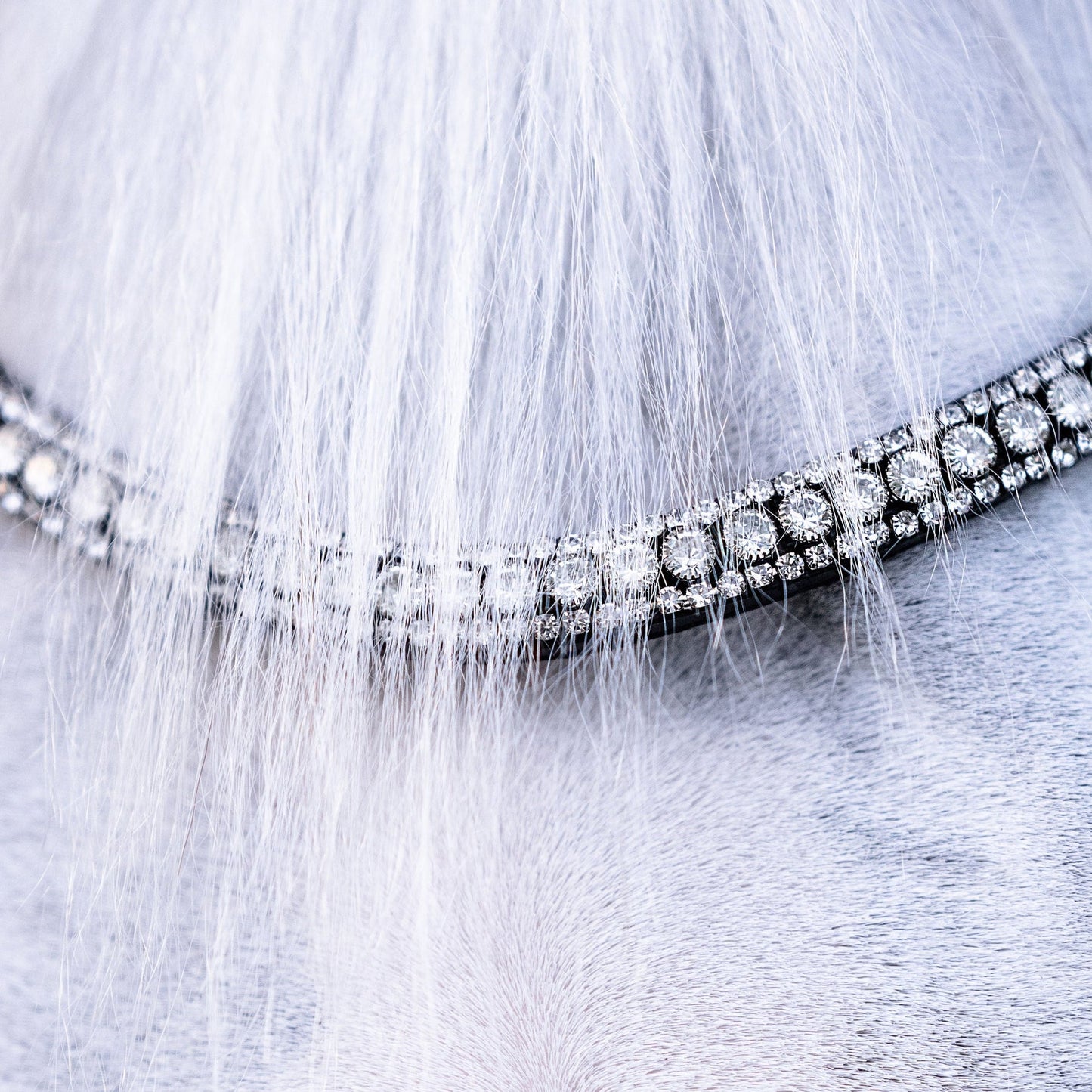 Amie Luxury Leather Bridle - (Double) (No reins)