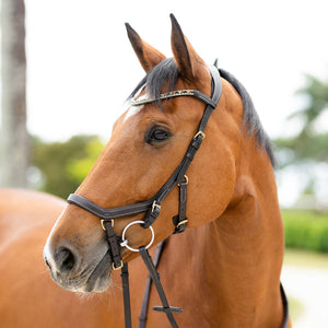 Amber Anatomic Leather Bridle - Brown Leather
