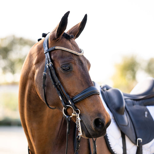 Madeline Italian Leather Double Bridle