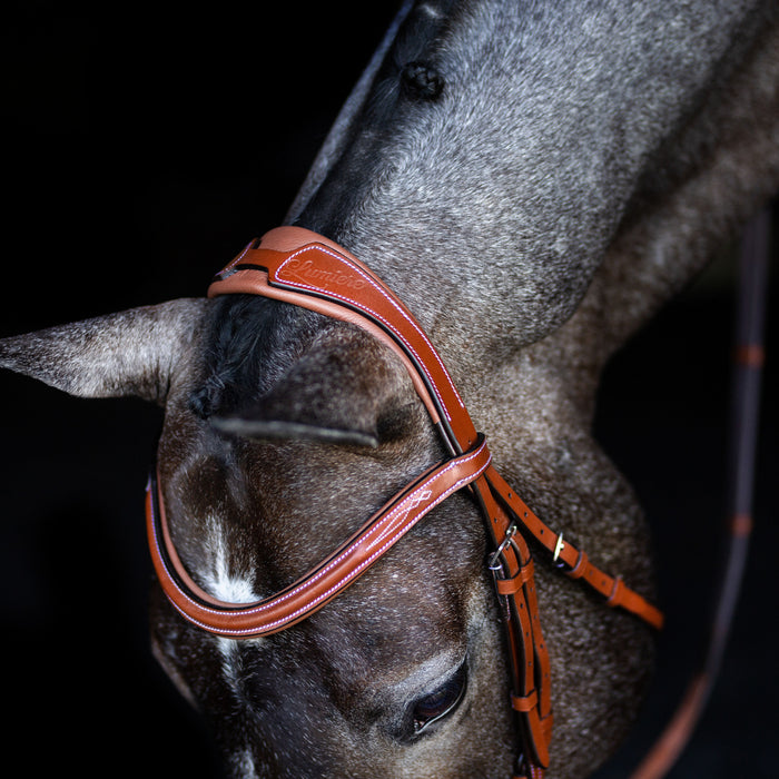 Milan Italian Leather Bridle (Convertible) (No reins)